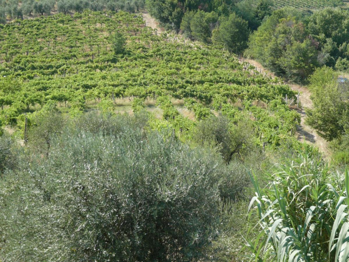 Agriturismo Santa Croce サン・ジミニャーノ エクステリア 写真